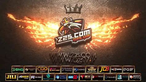 z25.com q25.vip